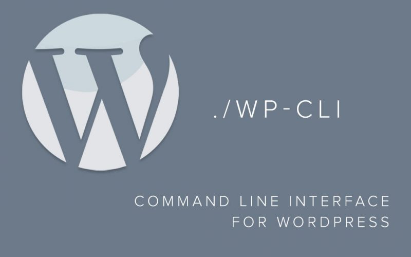 A-Complete-Beginners-Guide-to-WP-CLI-800x500.jpg